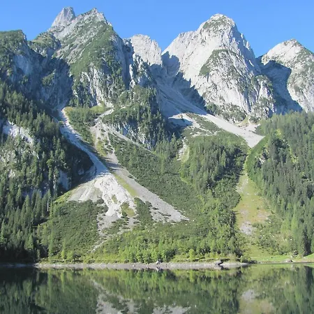 Hessenberger Apartment Gosau